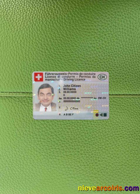 Switzerland driving license photolook